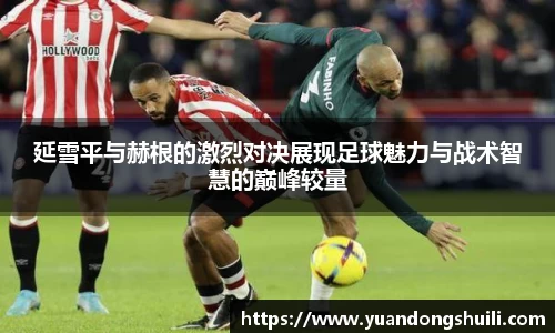 延雪平与赫根的激烈对决展现足球魅力与战术智慧的巅峰较量